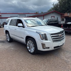 Image for 2016 Cadillac Escalade Platinum Edition ID: 6839726