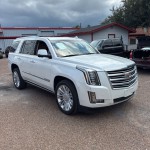 Image for 2016 Cadillac Escalade Platinum Edition ID: 6839726