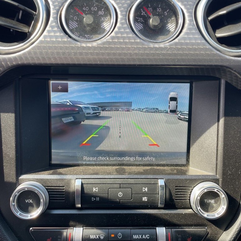 2019 Ford Mustang Image 14