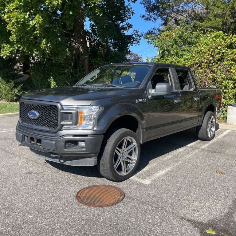 2019 Ford F-150 Image 2