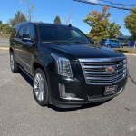 Image for 2018 Cadillac Escalade Platinum Edition ID: 6892886
