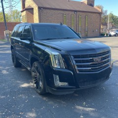 Image for 2017 Cadillac Escalade Platinum Edition ID: 6899719