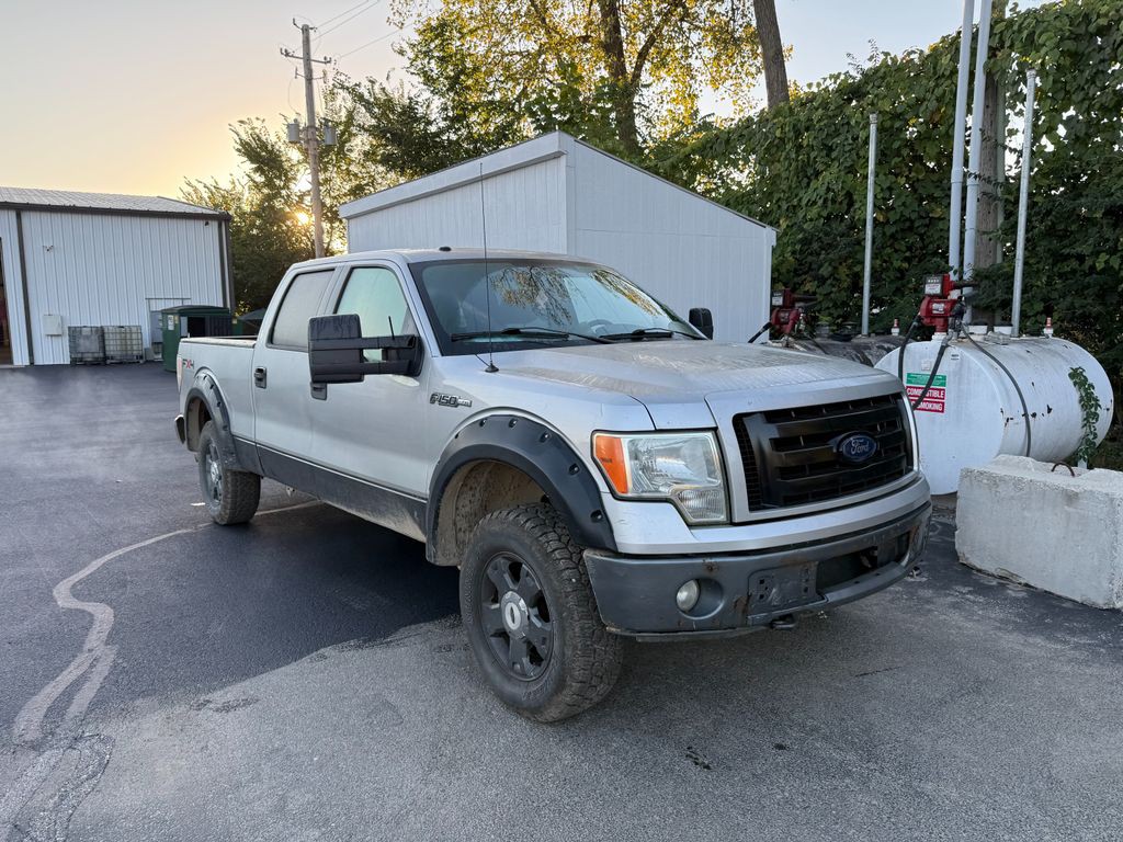 2010 Ford F-150 Image 1