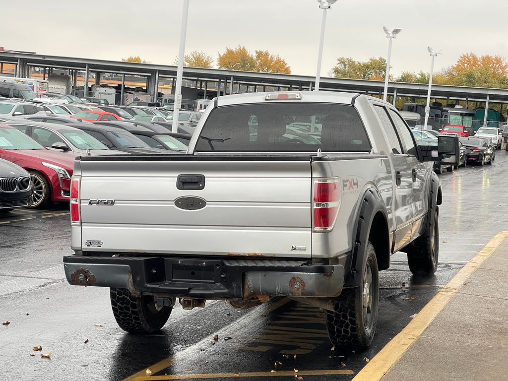 2010 Ford F-150 Image 3