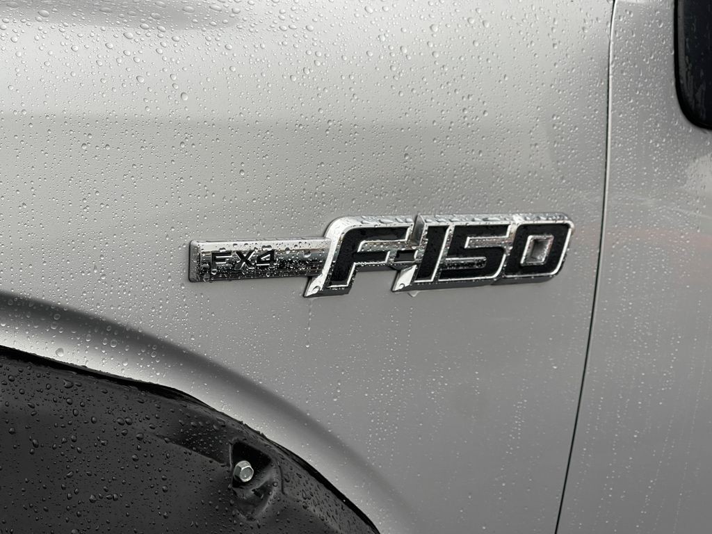 2010 Ford F-150 Image 35