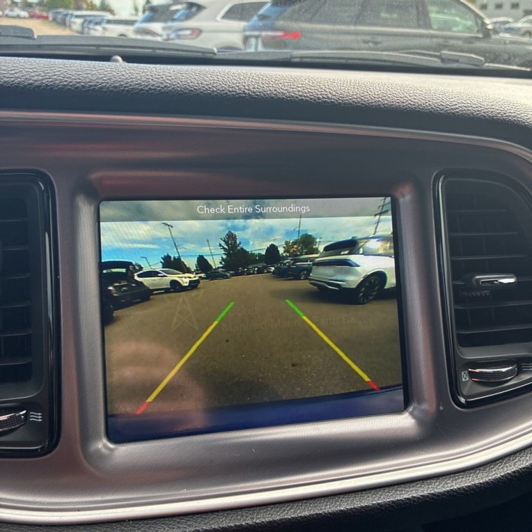 2019 Dodge Challenger Image 14