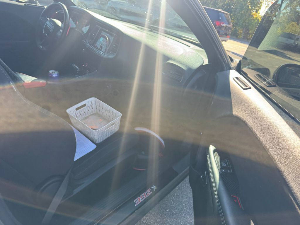 2019 Dodge Challenger Image 6