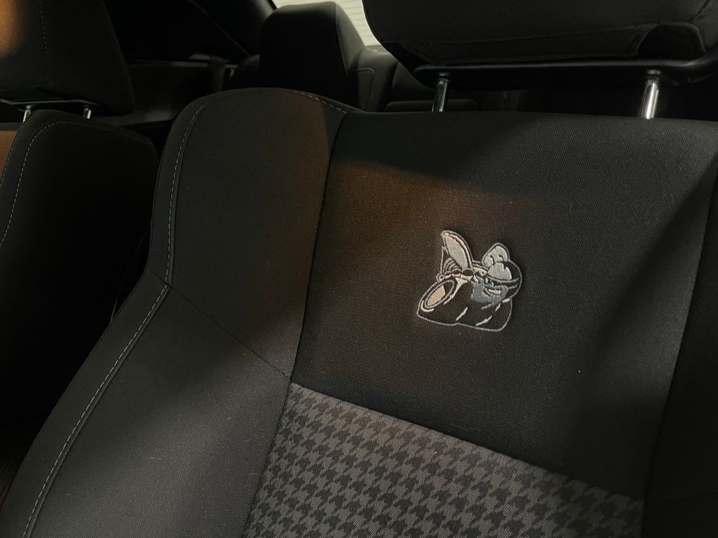 2019 Dodge Challenger Image 15