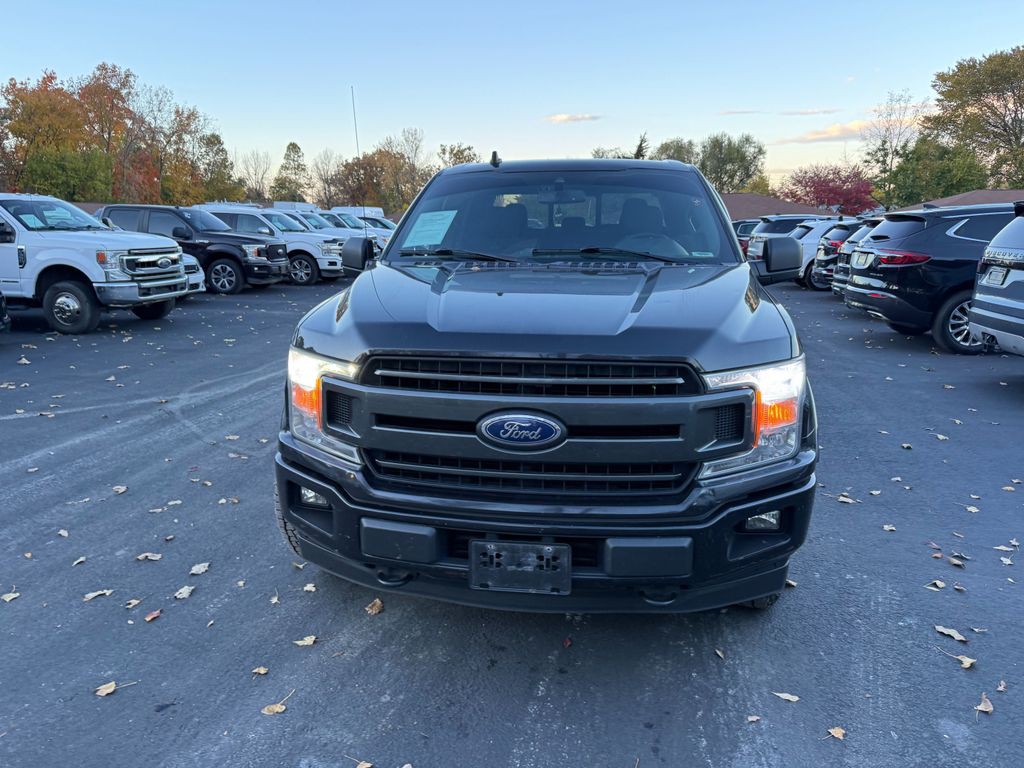 2019 Ford F-150 Image 2