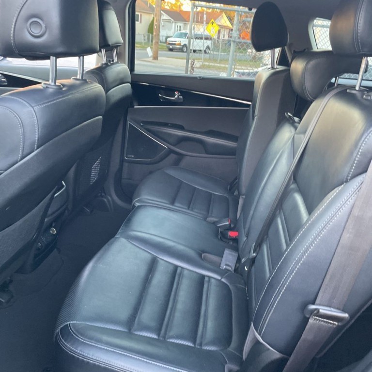 2017 Kia Sorento Image 14