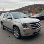 Image for 2016 Cadillac Escalade Premium ID: 6980760