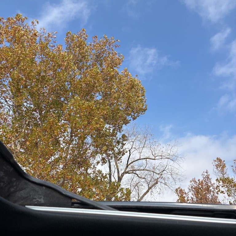 2019 Jeep Grand Cherokee Image 14