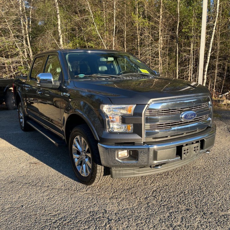2017 Ford F-150 Image 1