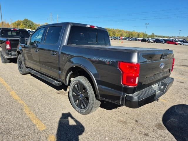 2019 Ford F-150 Image 4