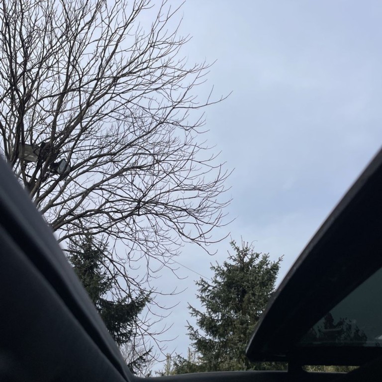 2017 Cadillac CT6 Image 12