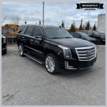 Image for 2017 Cadillac Escalade Platinum Edition ID: 7059926