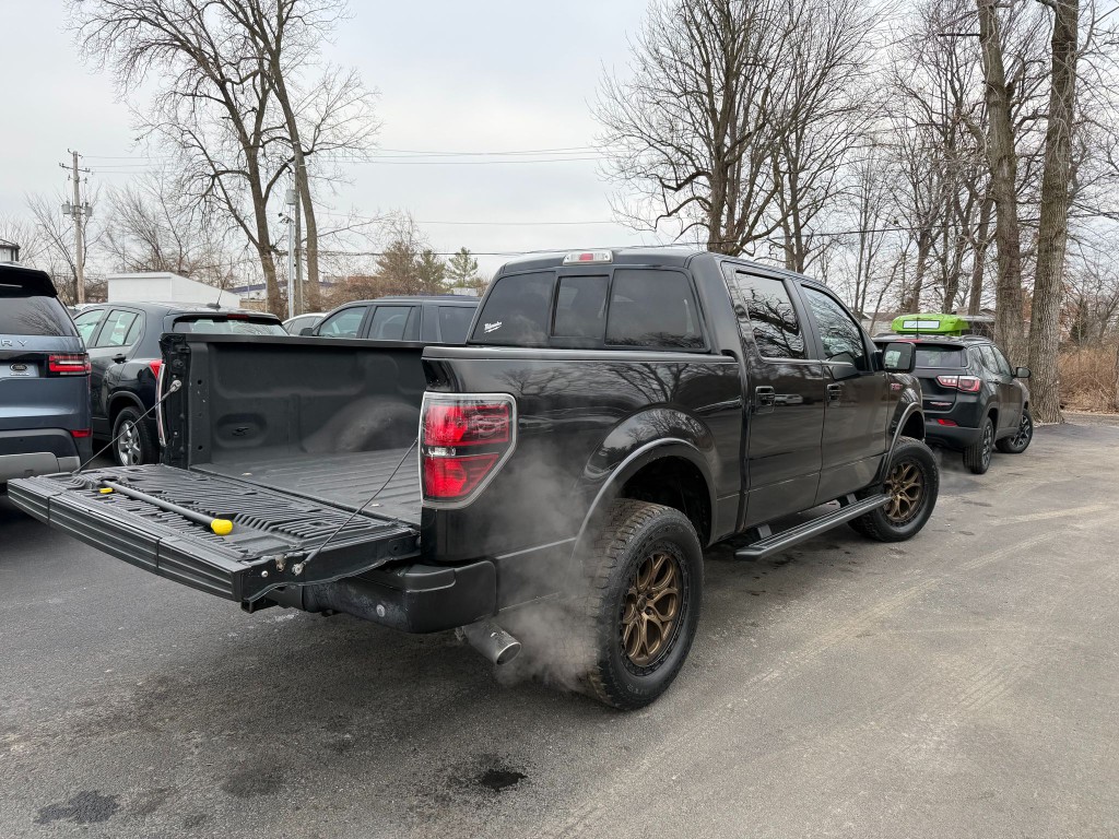 2014 Ford F-150 Image 3