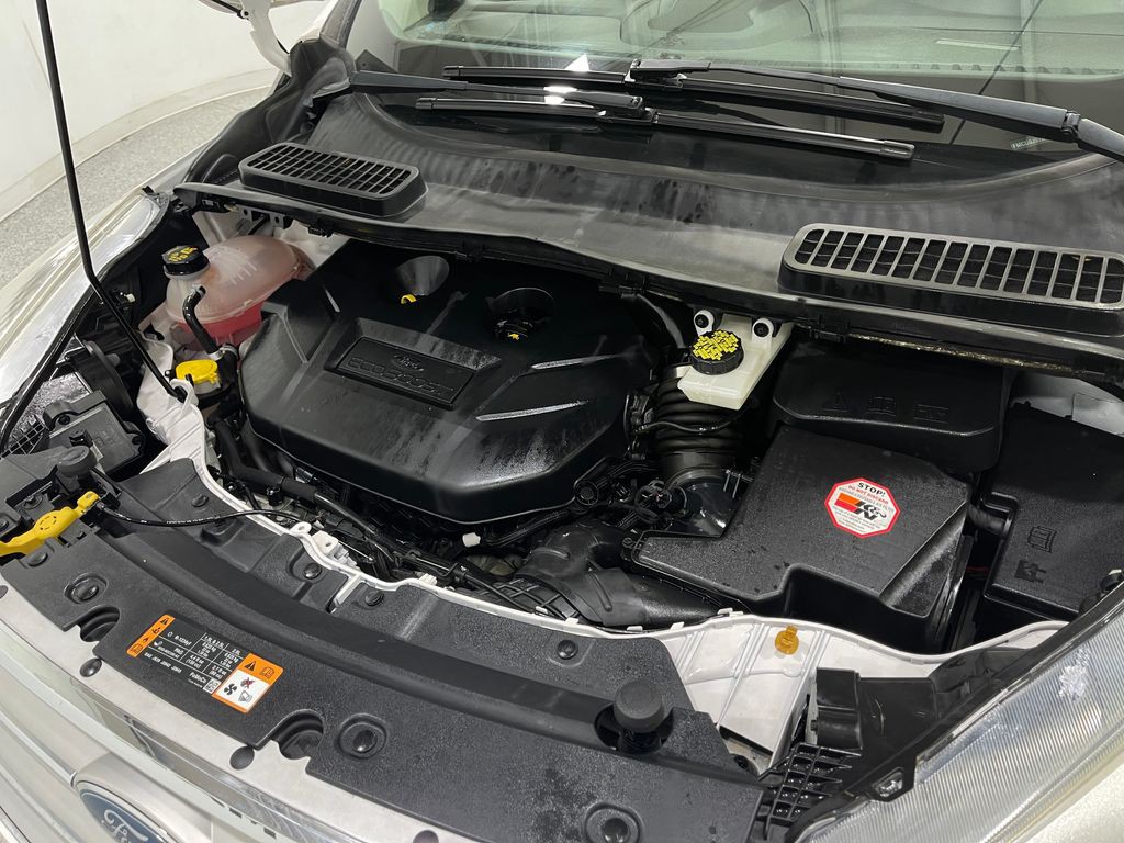 2019 Ford Escape Image 29