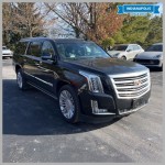 Image for 2015 Cadillac Escalade Platinum Edition ID: 7117801