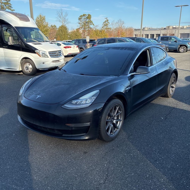 2019 Tesla Model 3 Image 2