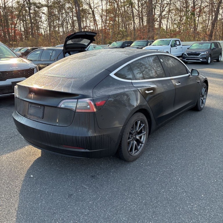 2019 Tesla Model 3 Image 3