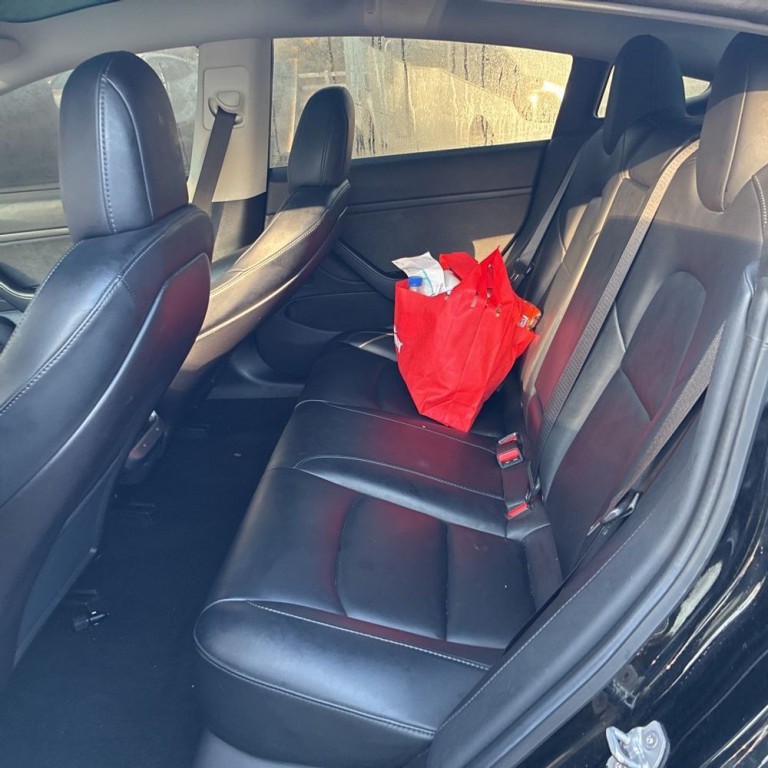2019 Tesla Model 3 Image 14