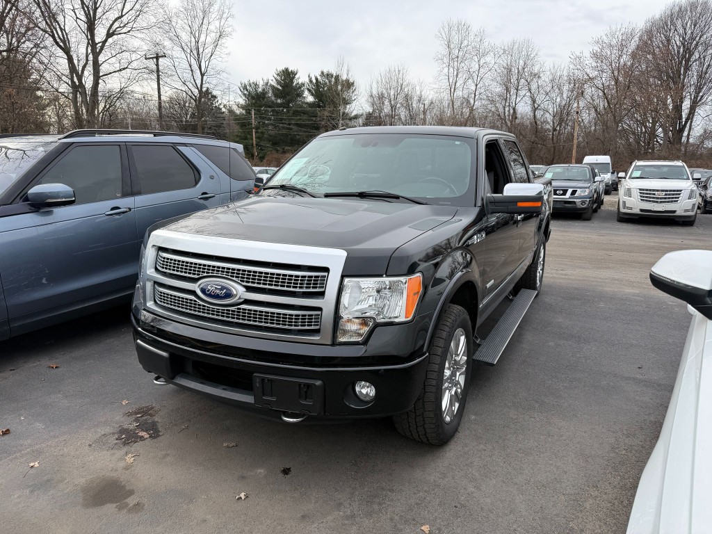 2011 Ford F-150 Image 2
