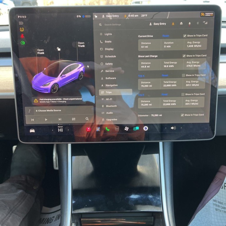 2020 Tesla Model 3 Image 10