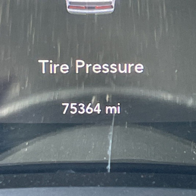 2019 Dodge Challenger Image 8