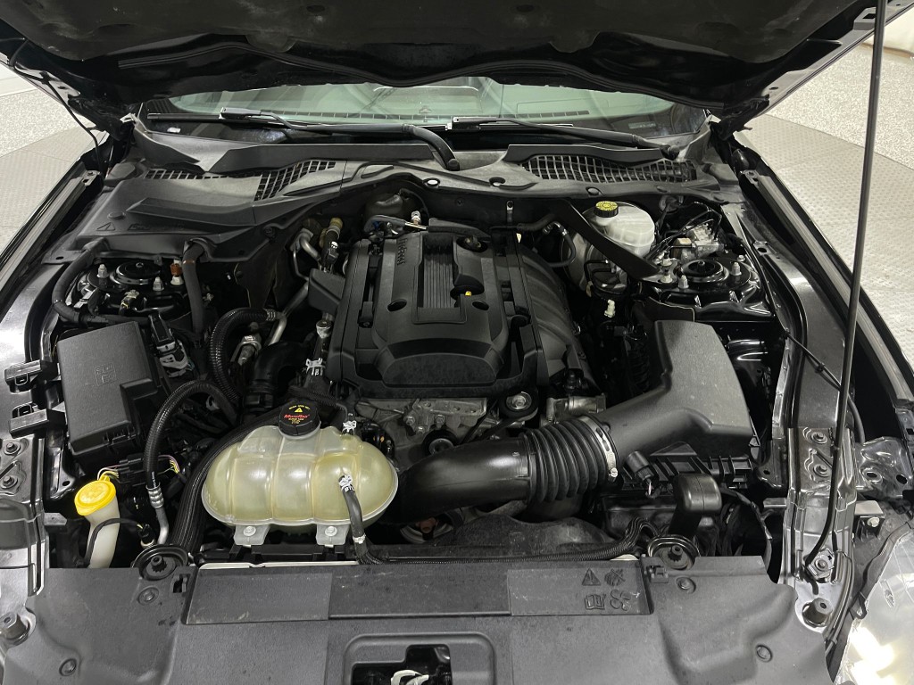 2019 Ford Mustang Image 25