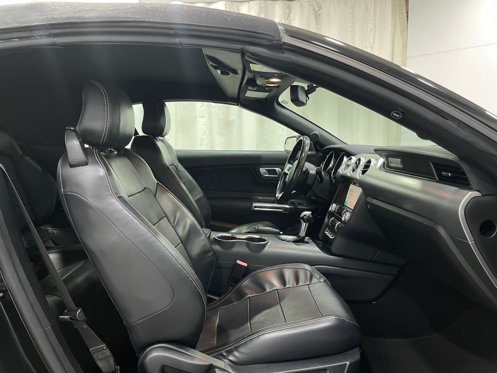 2019 Ford Mustang Image 31
