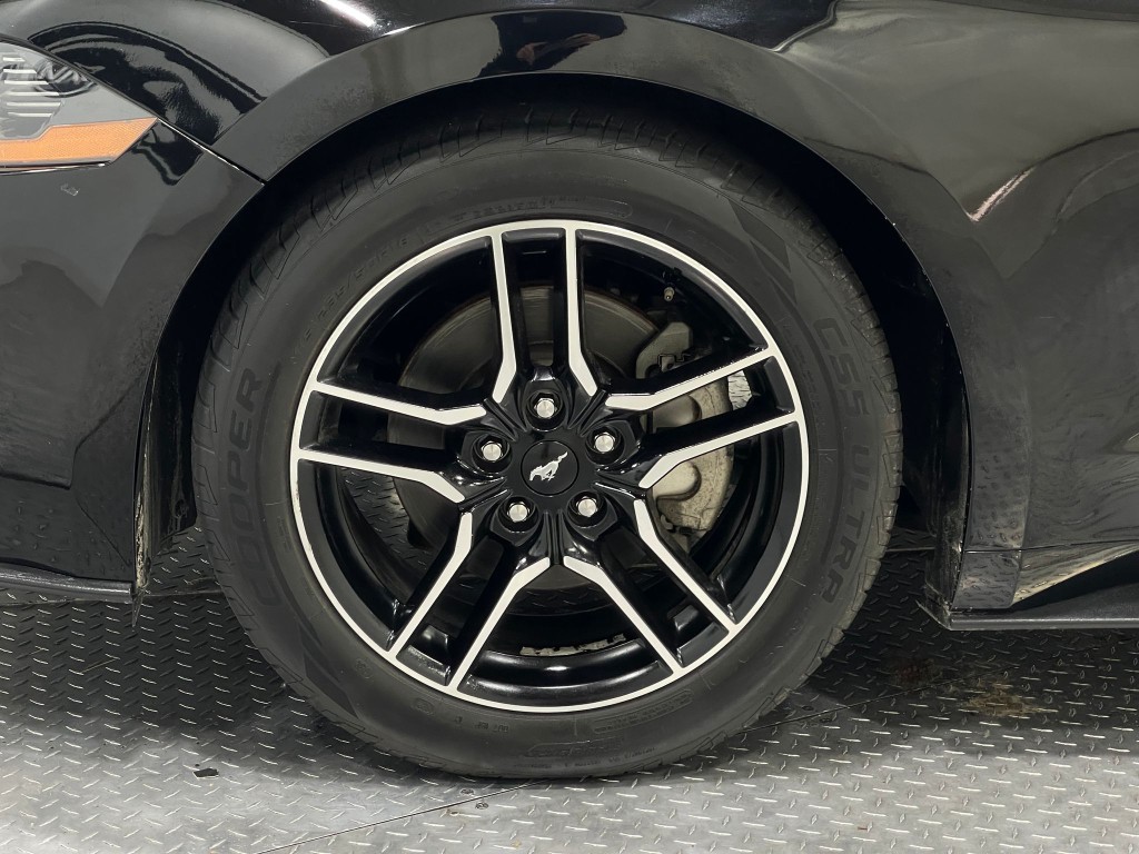 2019 Ford Mustang Image 34