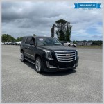 Image for 2020 Cadillac Escalade Premium Luxury ID: 7417147