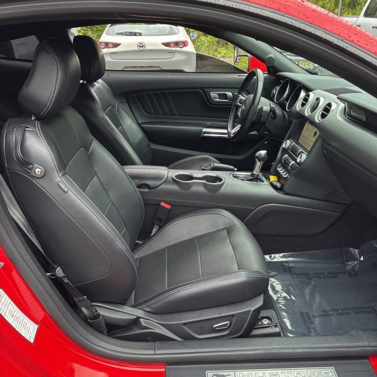 2019 Ford Mustang Image 6