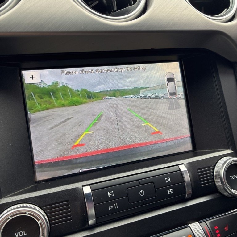 2019 Ford Mustang Image 10