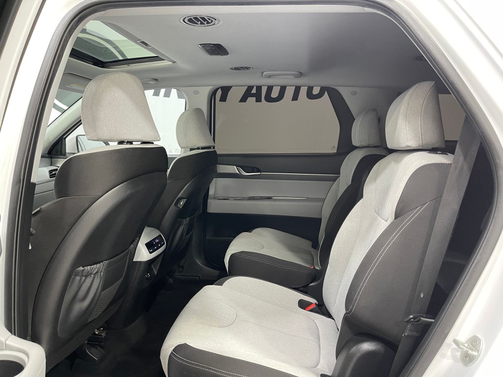 2020 Hyundai Palisade Image 29