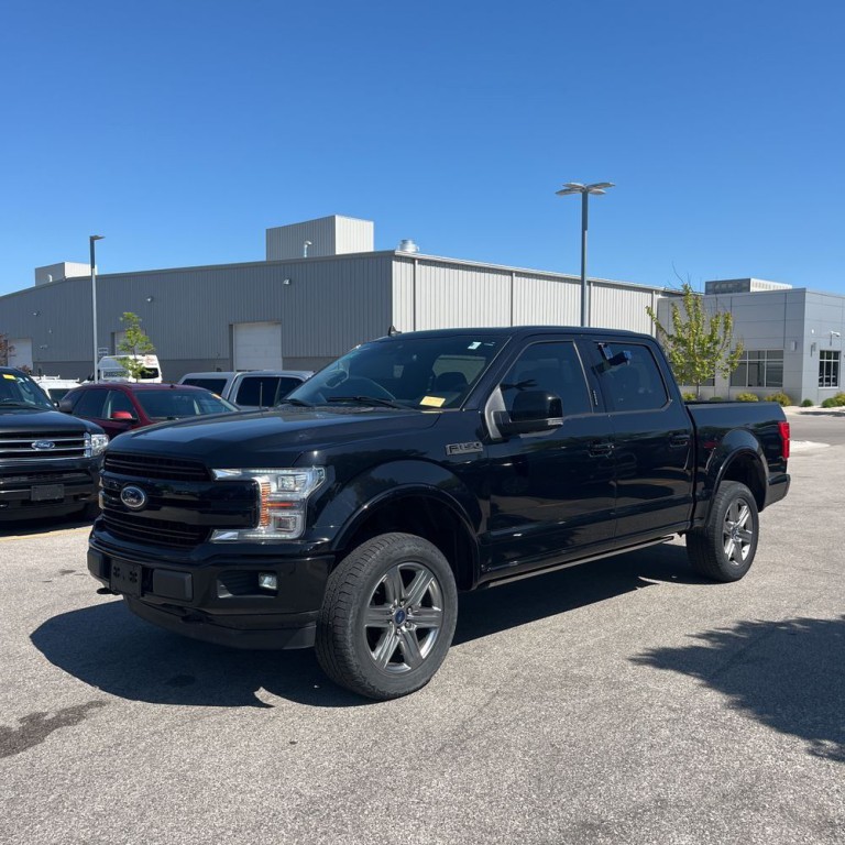2019 Ford F-150 Image 2