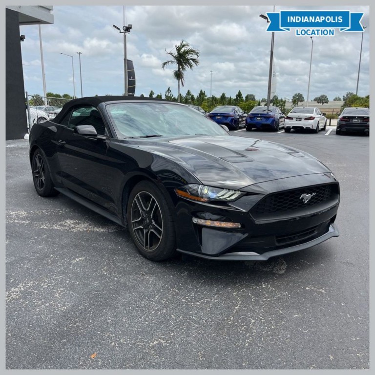 2022 Ford Mustang Image 1