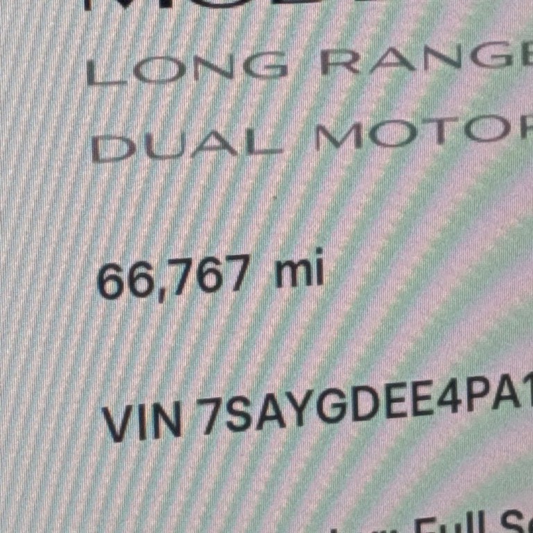 2023 Tesla Model Y Image 7
