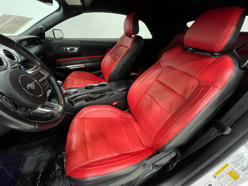 2019 Ford Mustang Image 13