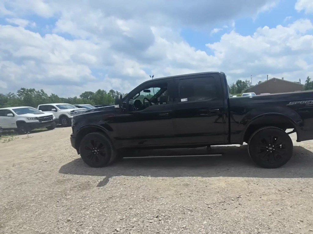 2019 Ford F-150 Image 4