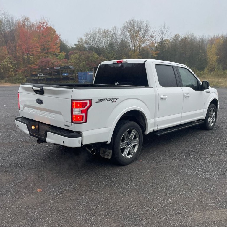 2018 Ford F-150 Image 3