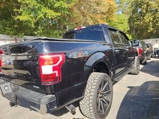 2019 Ford F-150 Image 3