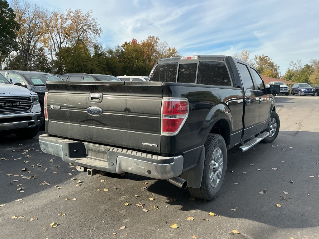 2011 Ford F-150 Image 3