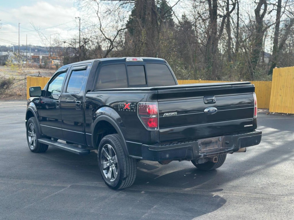 2011 Ford F-150 Image 3