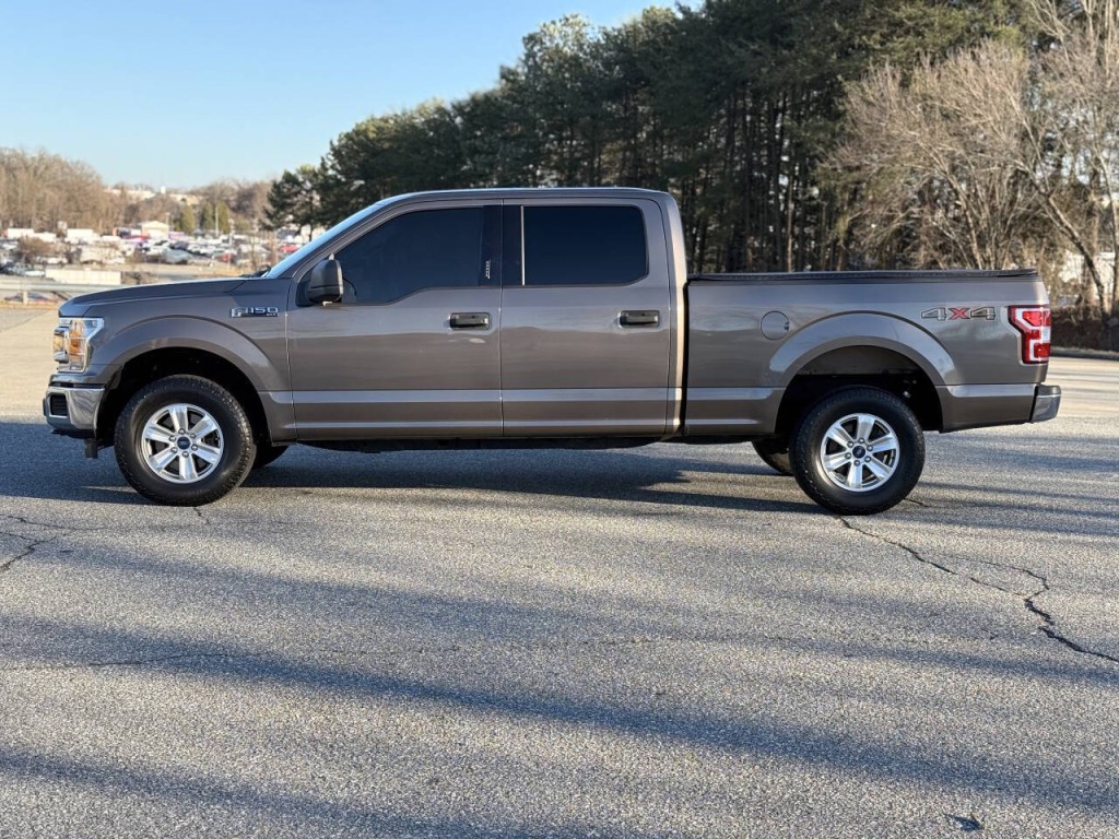 2019 Ford F-150 Image 2
