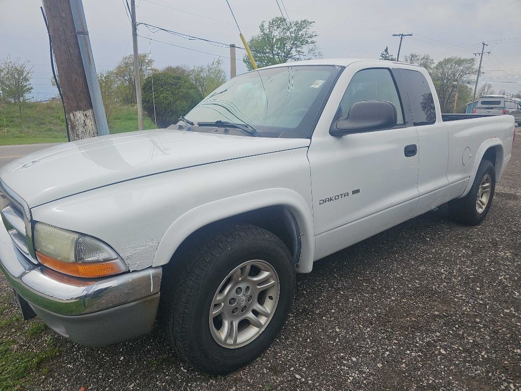 2002 Dodge Dakota Image 1