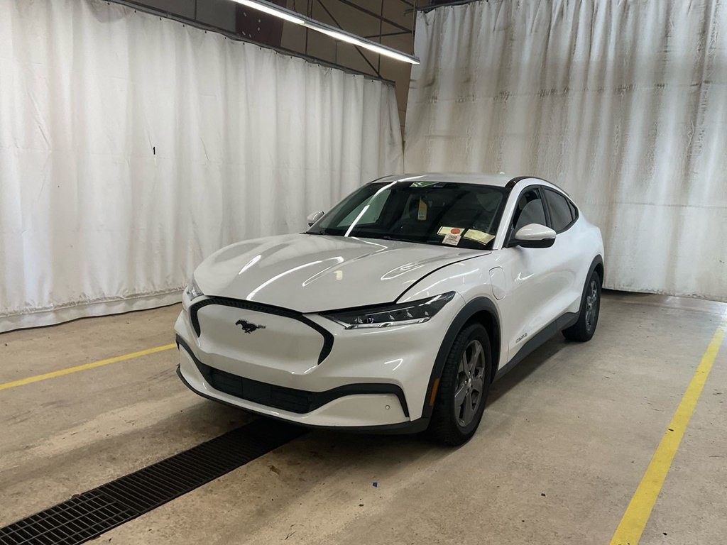 2022 Ford Mustang Image 1