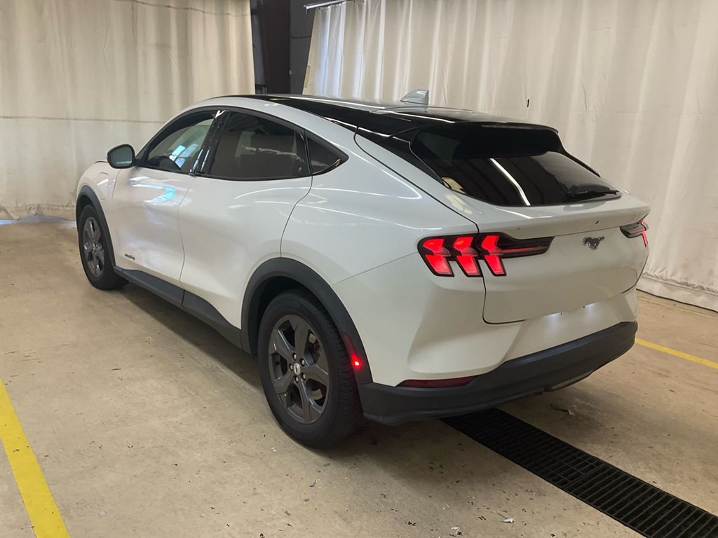 2022 Ford Mustang Image 2