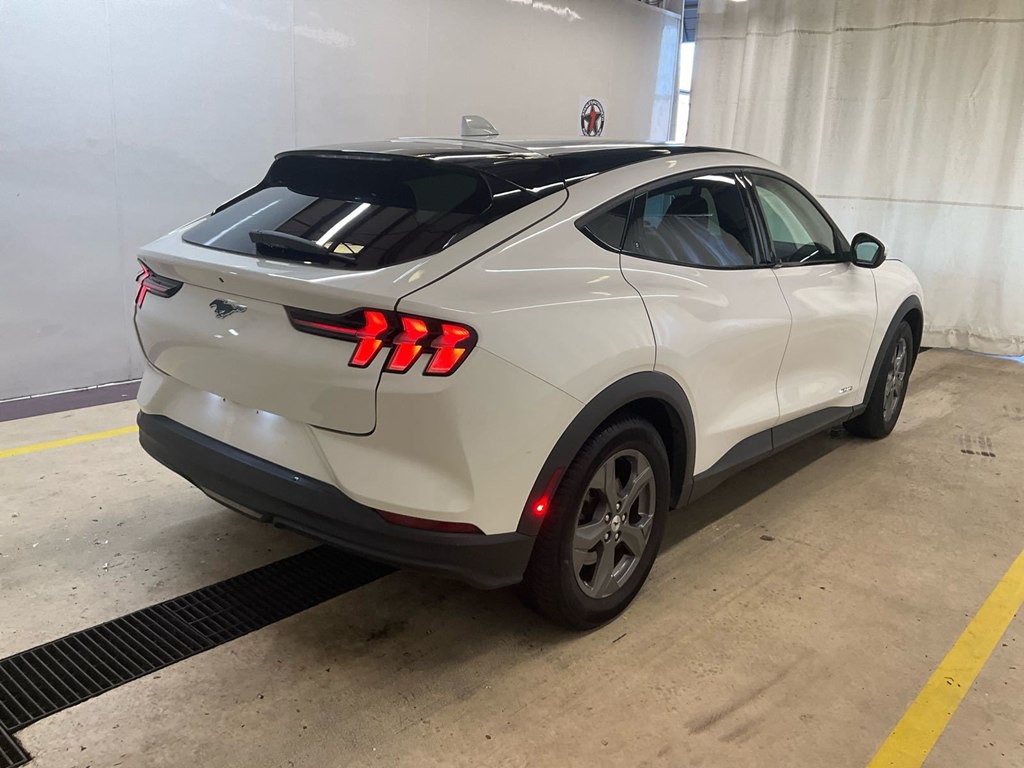 2022 Ford Mustang Image 3